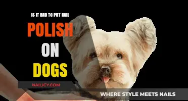 Is Painting Your Dog's Nails Safe or Harmful?