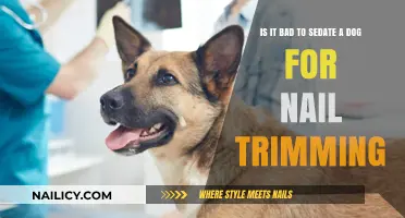Sedating Dogs for Nail Trims: Safe or Not?