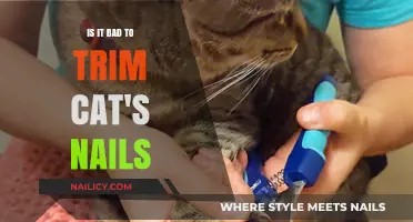 Trimming Cat Nails: Good or Bad?