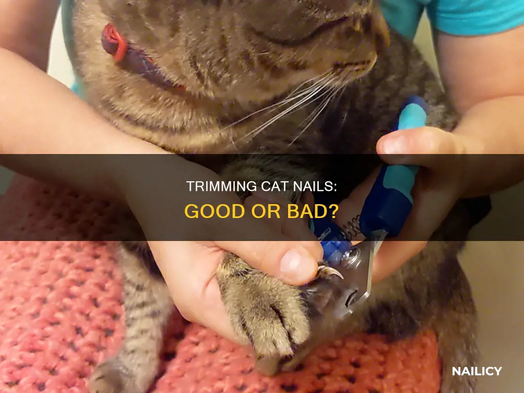 is it bad to trim cat