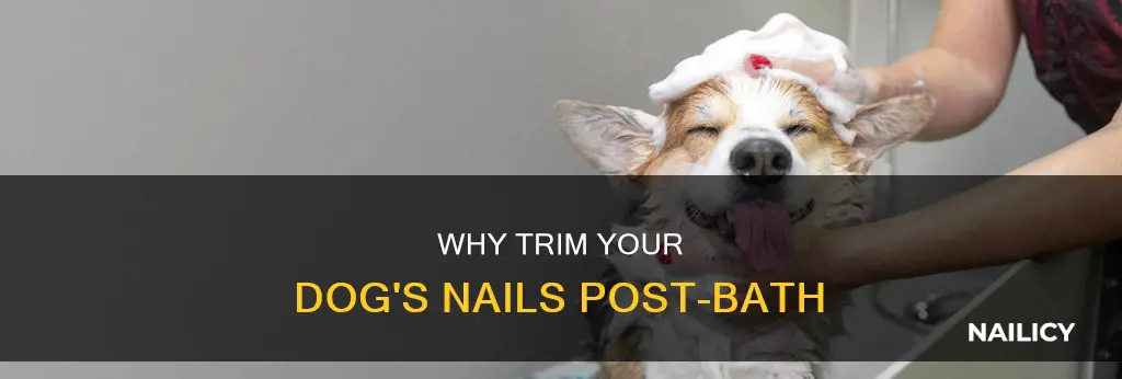 is it better to cut dog