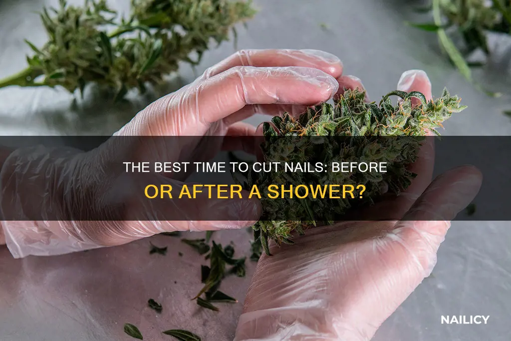 is it better to cut nails after shower