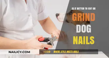 Grinding or Clipping Dog Nails: Which is the Better Option?