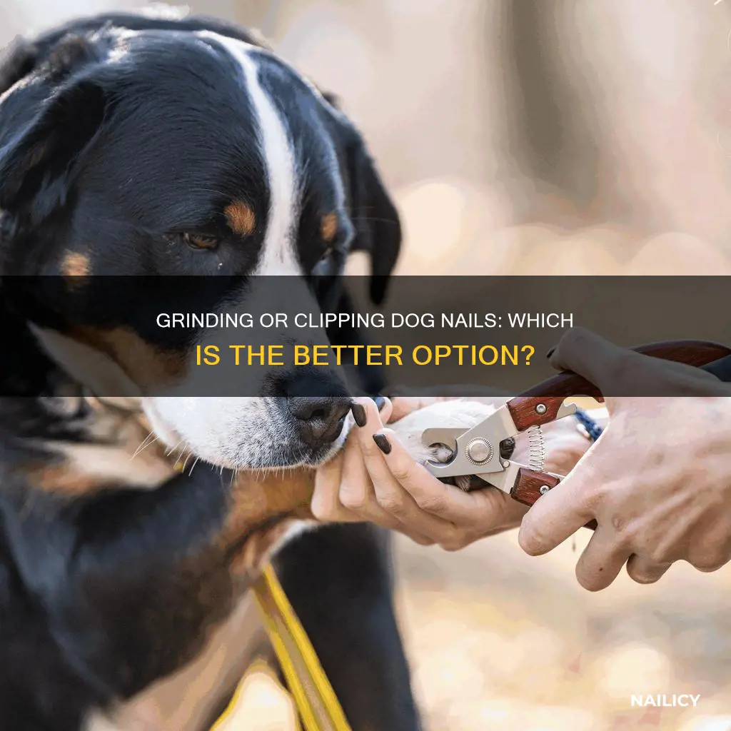 is it better to cut or grind dog nails