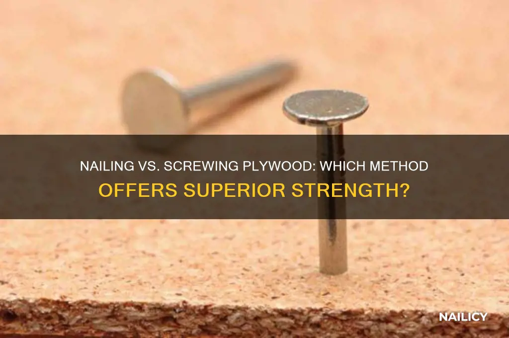 is it better to nail or screw plywood