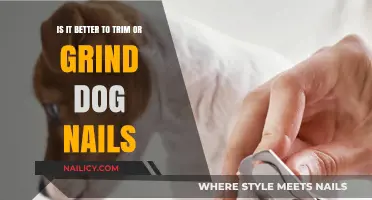Trimming or Grinding: Which is the Best Way to Groom Dog Nails?
