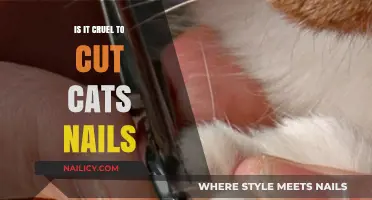 Trim Your Cat's Nails: Cruel or Caring?