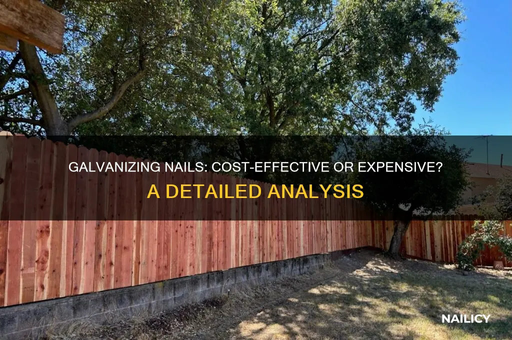 is it expensive to galvanize a nail