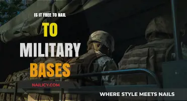 Is Access to Military Bases Free? Exploring Entry Costs and Restrictions
