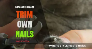 Pet Grooming: Nails, Fog, and You