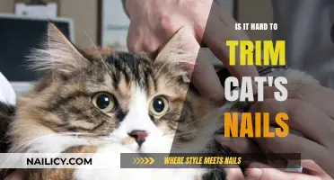 Trimming Your Cat's Nails: A Daunting Task?