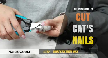 Trimming Your Cat's Nails: Why It's Essential