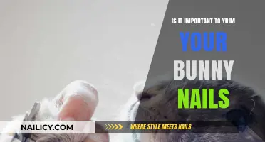 Why Trimming Your Bunny's Nails is Essential for Their Health