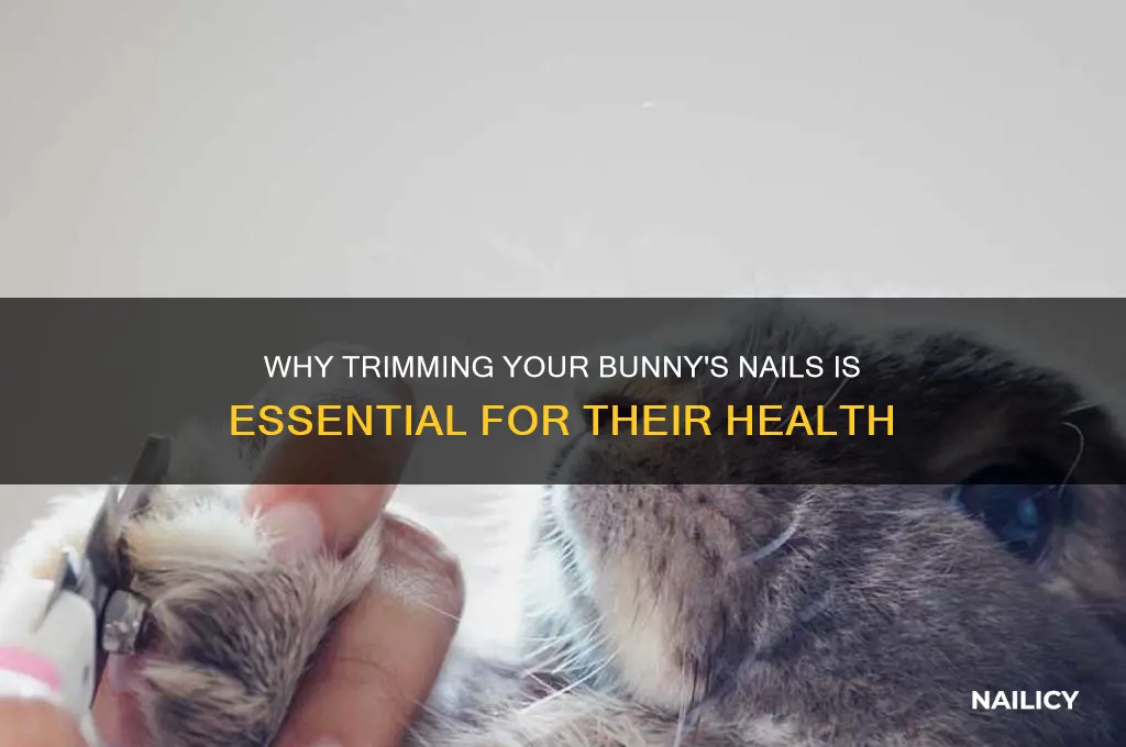 is it important to yrim your bunny nails
