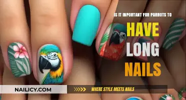 Parrot Nail Care: Why Long Nails Matter