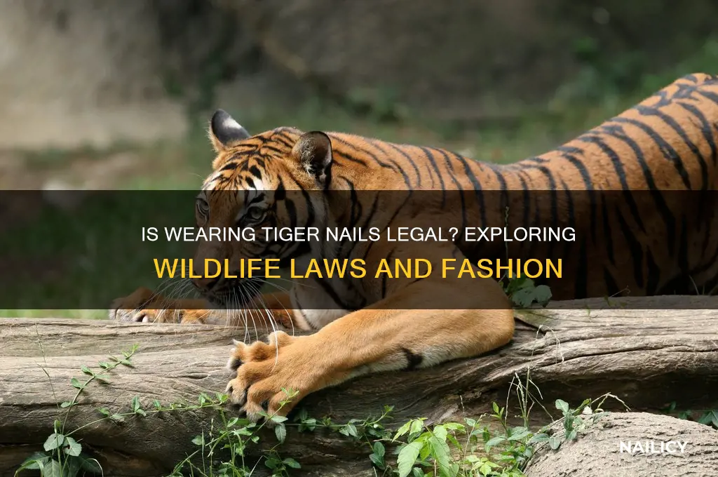 is it legal to wear tiger nail