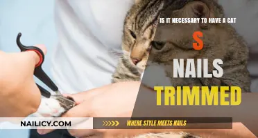 Cat Claw Clipping: Necessary or Not?
