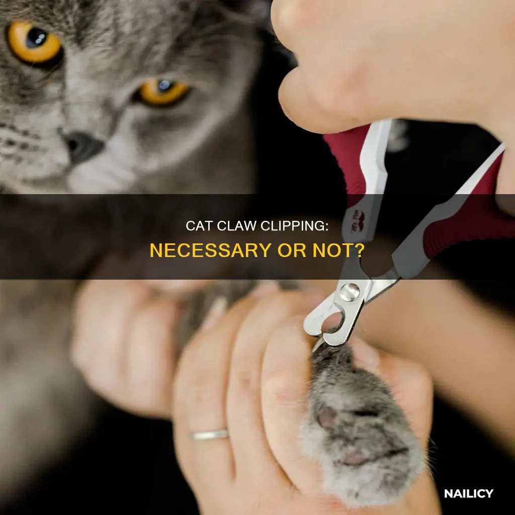 is it necessary to have a cat s nails trimmed