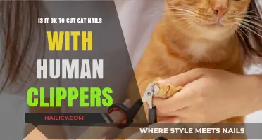Human Clippers for Cats: Safe or Not?