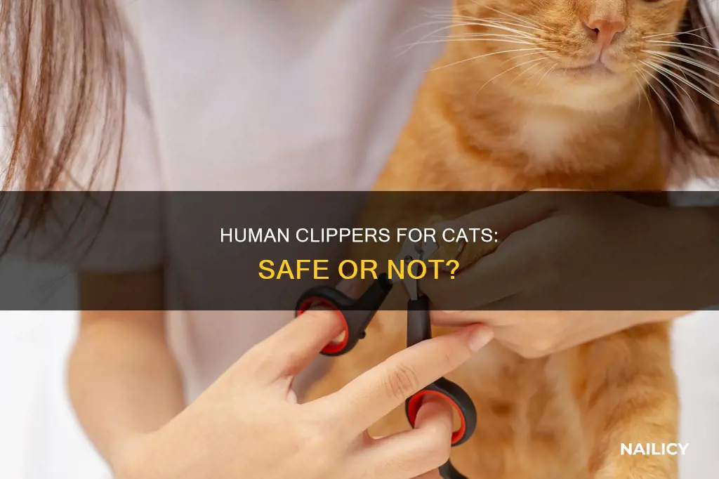 is it ok to cut cat nails with human clippers
