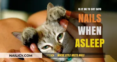 Cutting Cat Nails: Safe While Asleep?