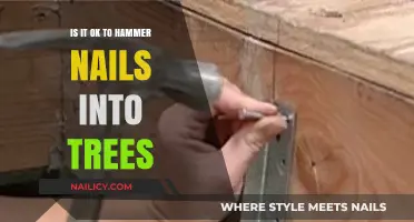 Is Hammering Nails into Trees Harmful? A Gardening Ethics Debate