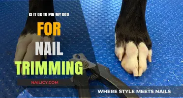 Should You Restrain Your Dog for Nail Trimming?