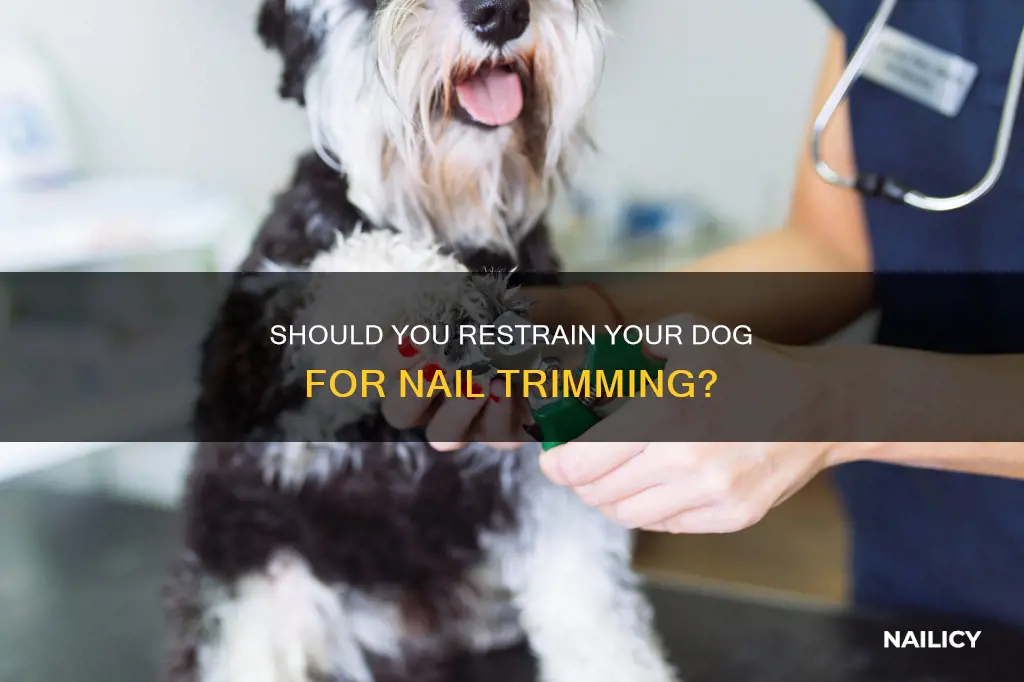 is it ok to pin my dog for nail trimming