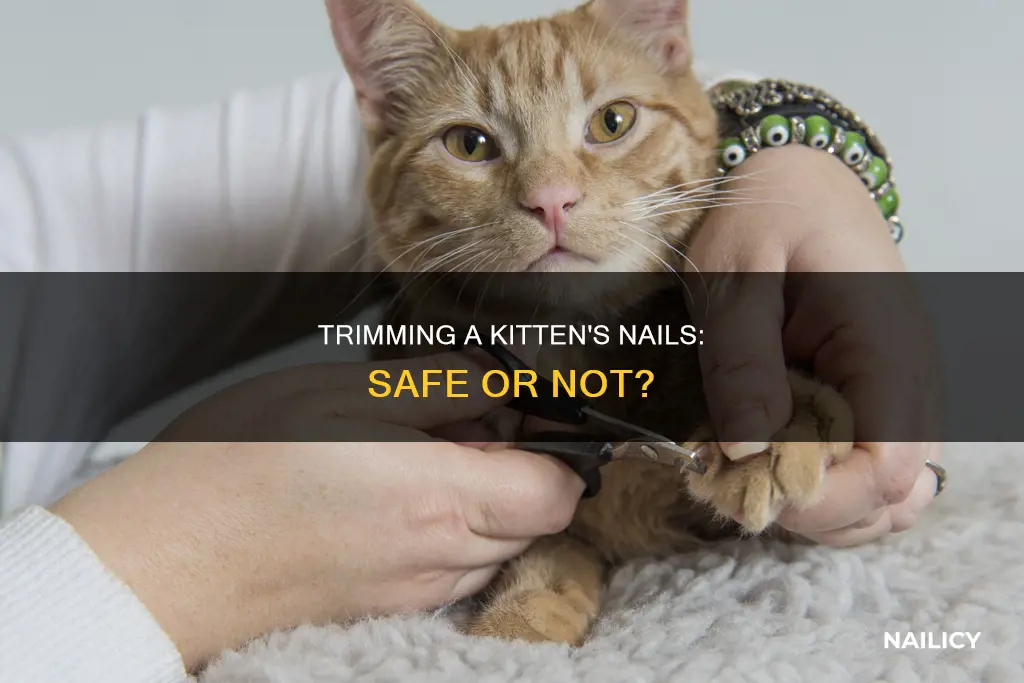 is it ok to trim a kittens nails