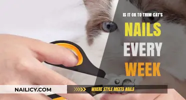 Trimming Cat Nails: Weekly Trims, Safe or Not?