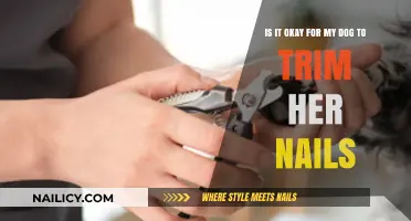 Trimming Dog Nails: Safe or Not?
