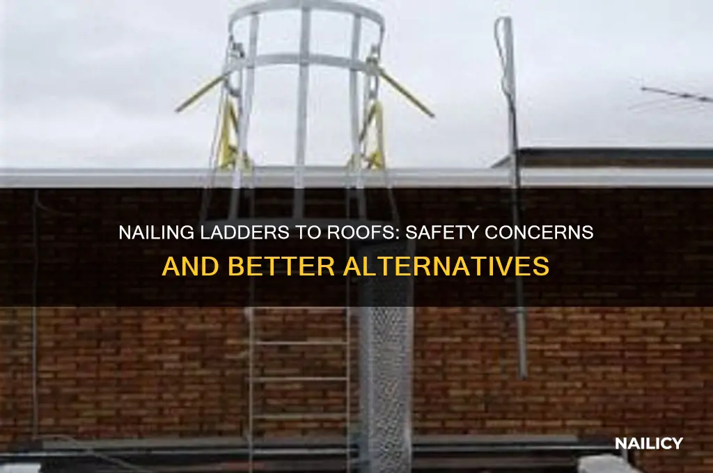 is it okay to nail ladders to roof