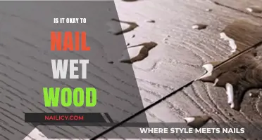 Nailing Wet Wood: Risks, Best Practices, and Long-Term Effects