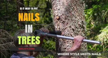 Nails in Trees: Harmful Practice or Harmless Convenience?