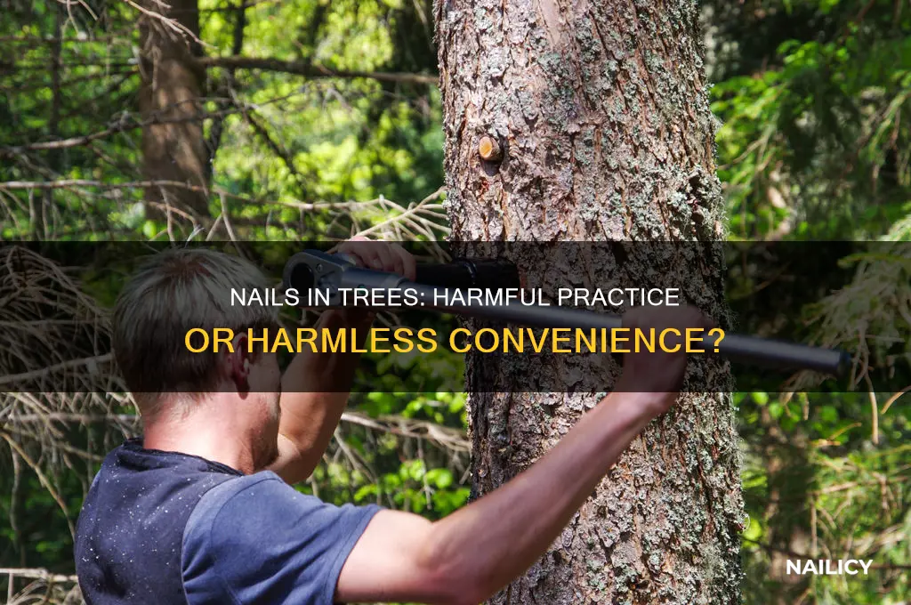 is it okay to put nails in trees