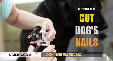How Painful Is Trimming Your Dog's Nails?