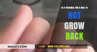 Will My Nail Grow Back?