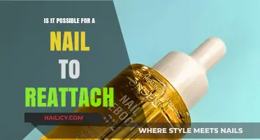 Can a Nail Reattach? Exploring the Possibility of Natural Healing