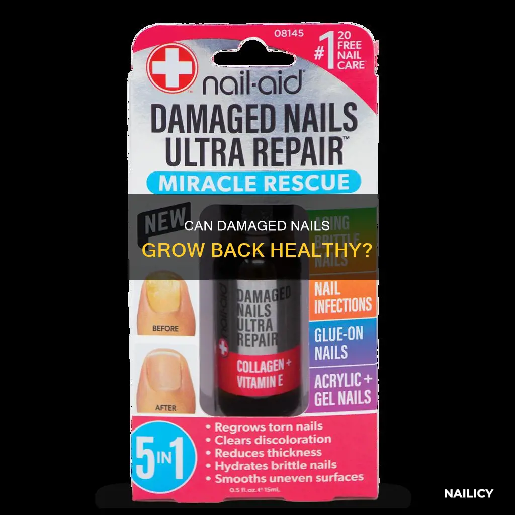 is it possible for my nails to grow back normal
