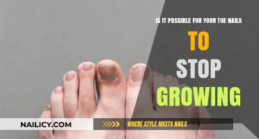 Toe Nail Growth: Can It Ever Stop?