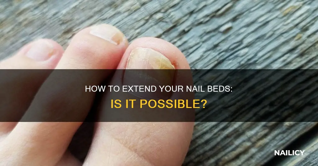 is it possible to grow nail beds