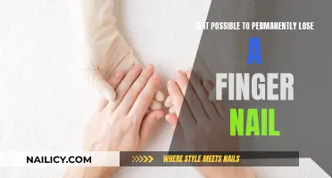Can Finger Nails Regrow After Being Ripped Out?