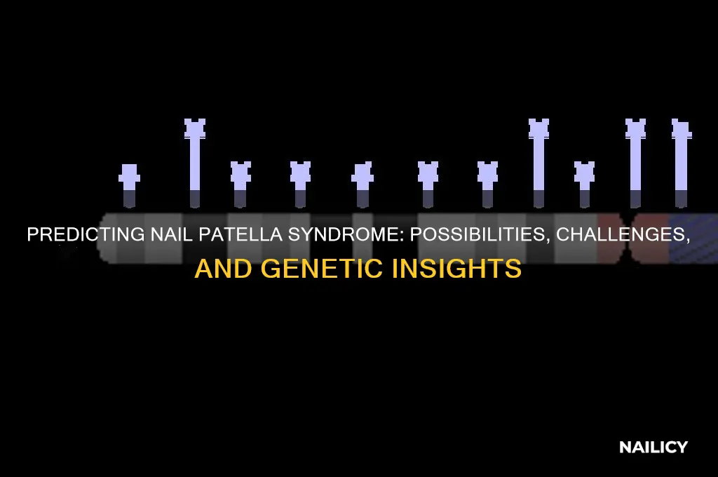 is it possible to predict nail patella syndrome