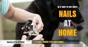 Trimming Dog Nails at Home: Safe or Not?
