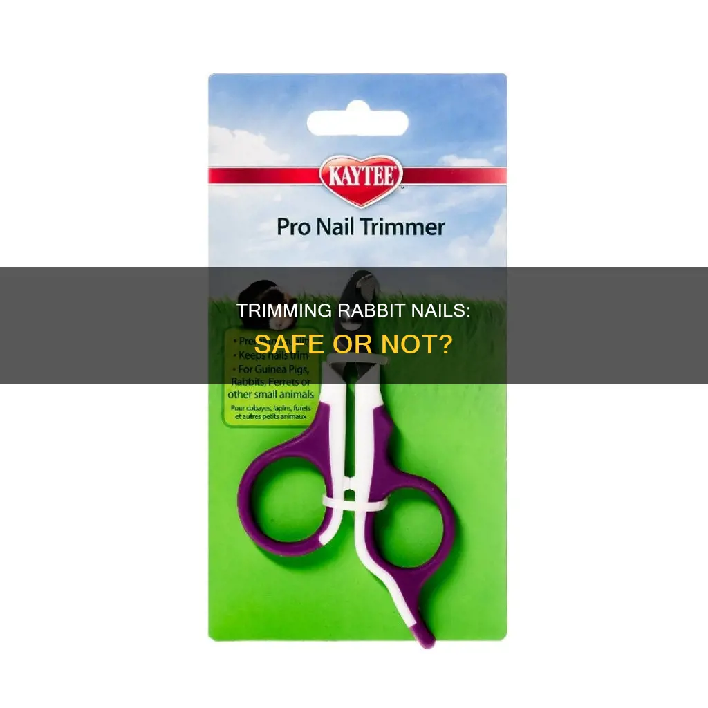 is it safe to cut rabbit