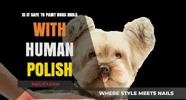 Is Human Nail Polish Safe for Painting Your Dog's Nails?