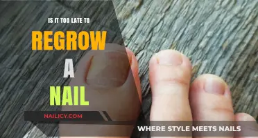 Can You Still Regrow a Damaged Nail? Expert Tips and Timeline