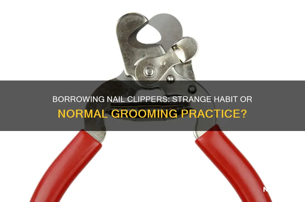 is it weird to borrow nail clippers
