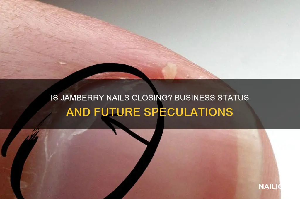 is jamberry nails going out of business