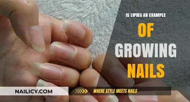 Lipids: The Secret to Healthy Nail Growth